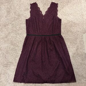 Loft eggplant burgundy lace dress